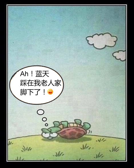 lantian-turtle.jpg